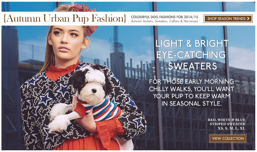 View Urban Pup Knitted Dog Sweaters. Comfortable fashions for Autumn & Winter